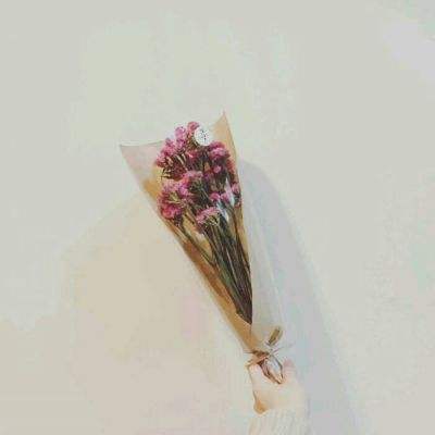一刀77777破解版下载